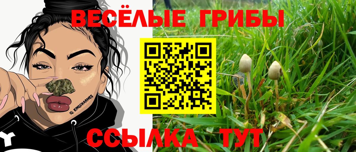 Ростов Великий  магазин продажи   Вход с VPN  Галлюциногенные грибы GOLDEN TEACHER 